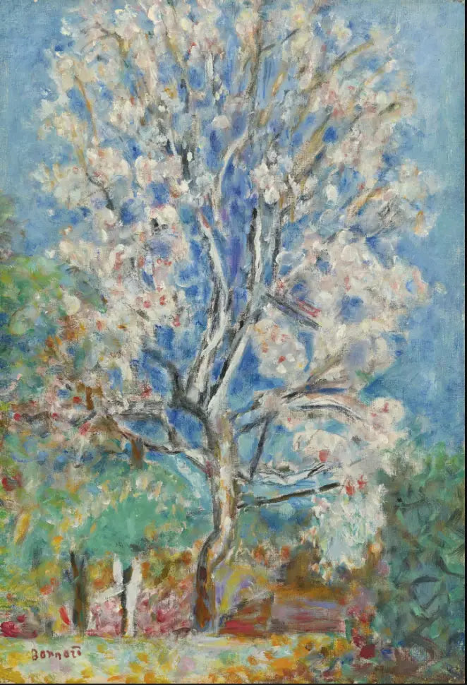 Mandeln i blom - Pierre Bonnard