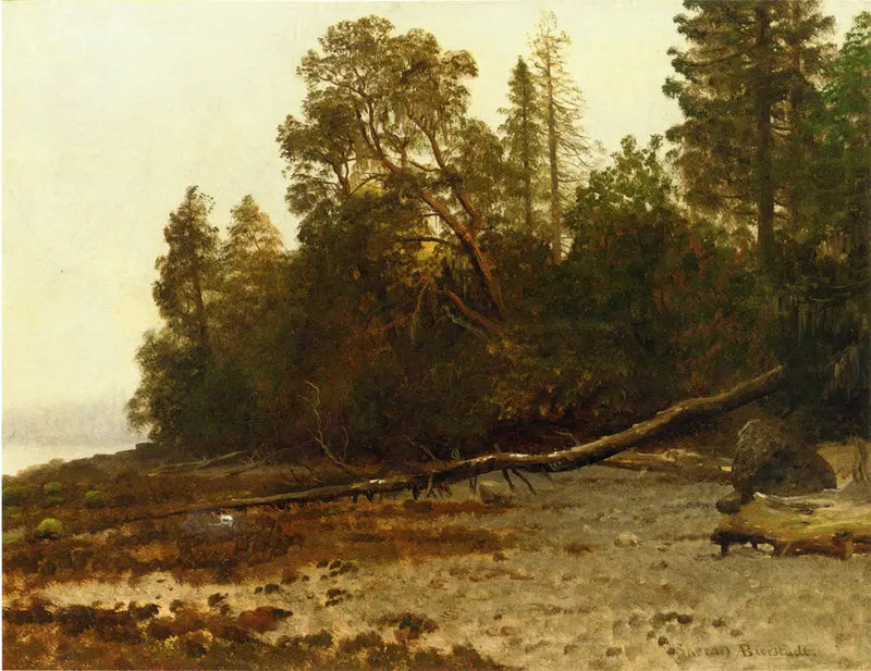 Det fallna trädet - Albert Bierstadt