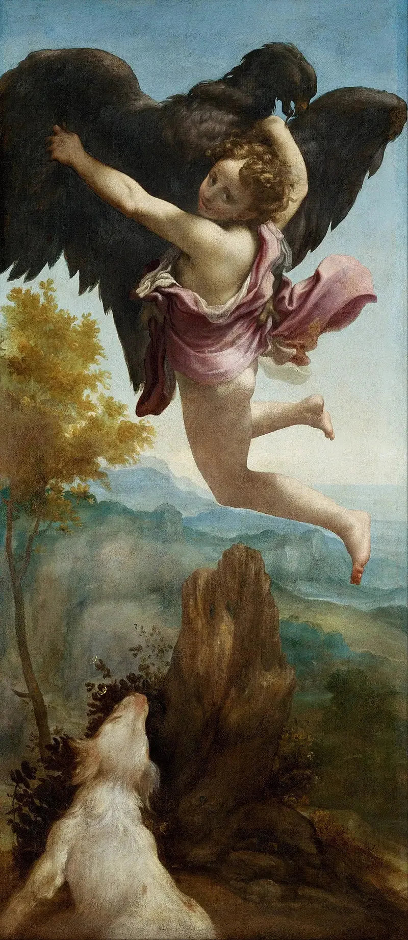 Ganymedes borttagning - Antonio da Correggio