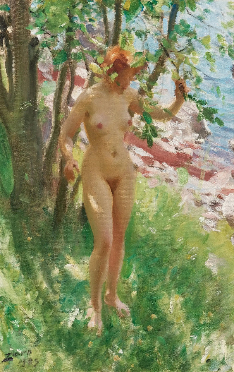 Skuggan - Anders Zorn
