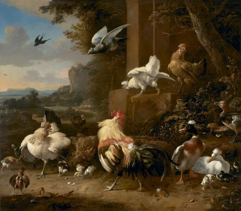 Fjäderfäken - Melchior de Hondecoeter