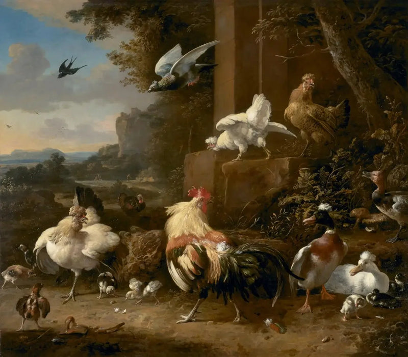 Fjäderfäken - Melchior de Hondecoeter