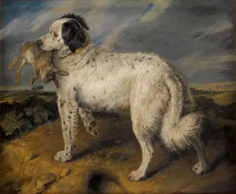 Mästaren: Venus - Edwin Henry Landseer
