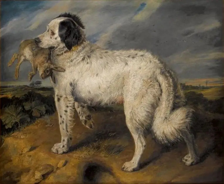 Mästaren: Venus - Edwin Henry Landseer