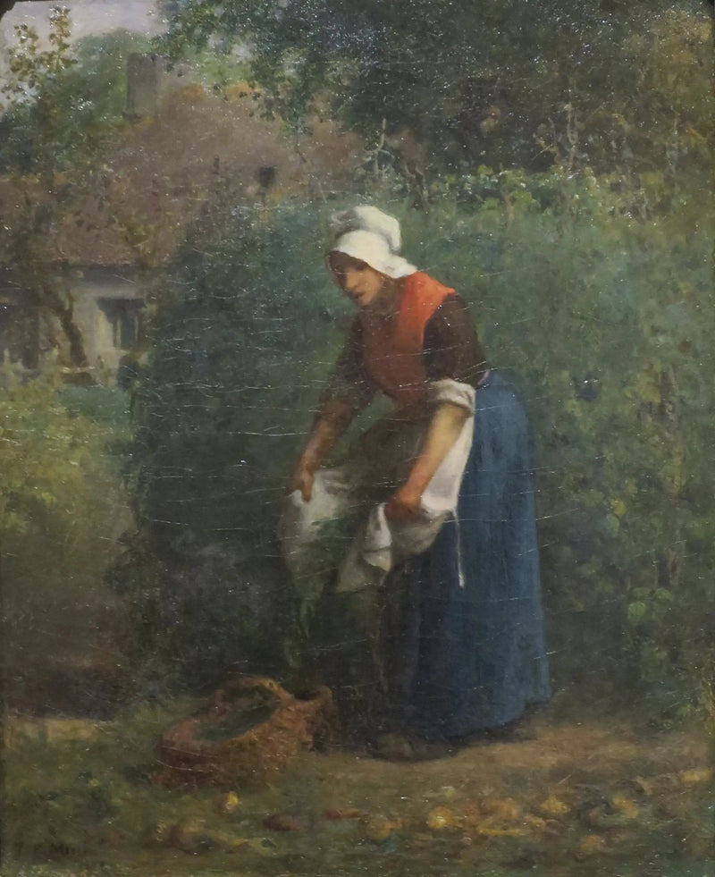 Haricotplockning - Jean-François Millet