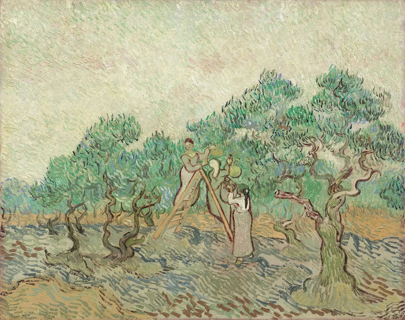 Olivplockningen - Vincent van Gogh