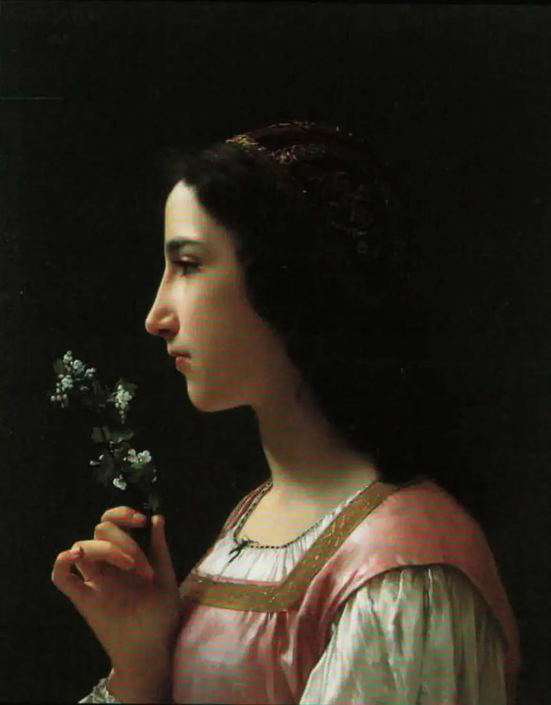 Häggblomma - Bouguereau