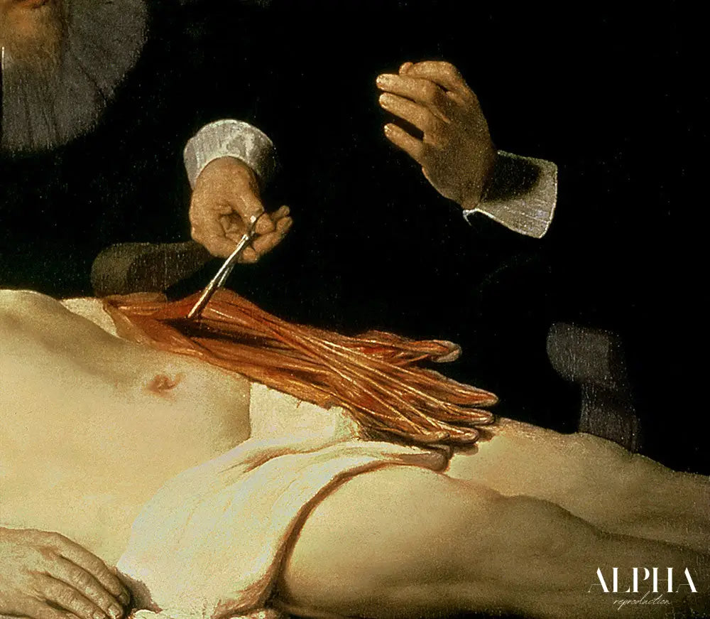 La leçon d'anatomie du Dr Nicolaes Tulp, 1632 (détail de 7543) de Rembrandt van Rijn - Reproductions de tableaux et peintures haut de gamme