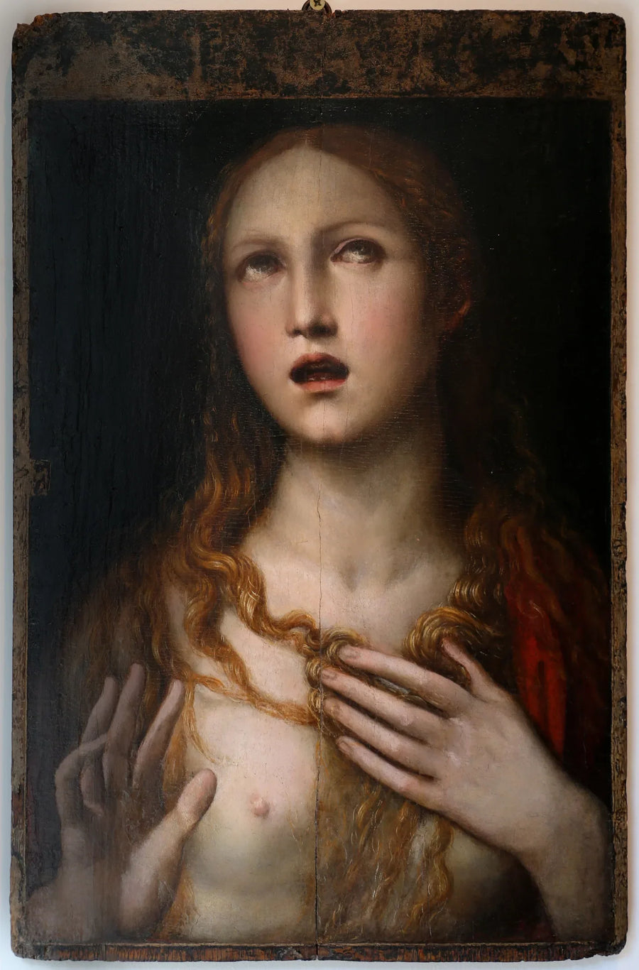 Q117777120 - Il Sodoma (Giovanni Antonio Bazzi)