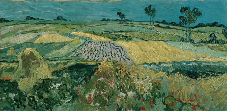 Slätten i Auvers - Vincent van Gogh
