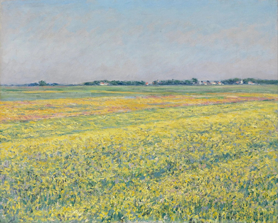 Gennevilliers slätt, gula fält - Gustave Caillebotte