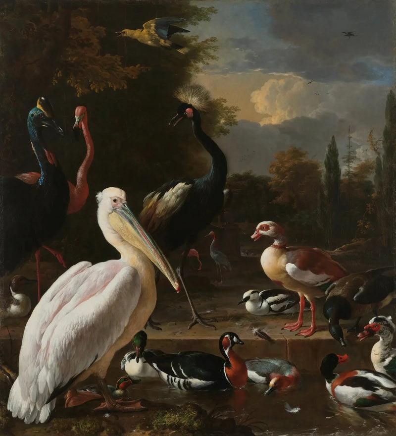 Den flytande fjädern - Melchior de Hondecoeter