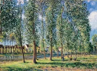 Poppelraden i Moret - Alfred Sisley