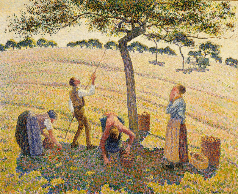 Äppelskörden i Éragny - Camille Pissarro