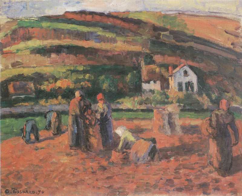Potatisplockningen - Camille Pissarro