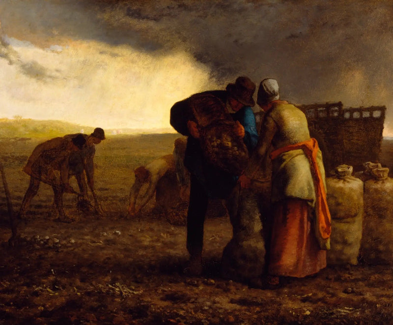 Potatisskörden - Jean-François Millet