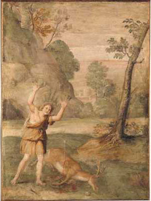 Cyparissus-omvandlingen - Domenichino