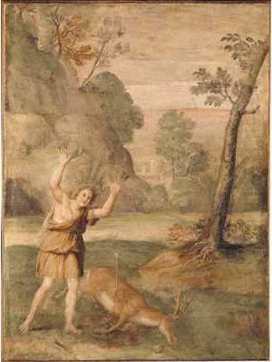 Cyparissus-omvandlingen - Domenichino