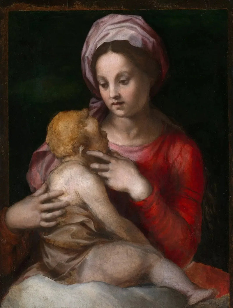 Madonna med barnet - Andrea del Sarto