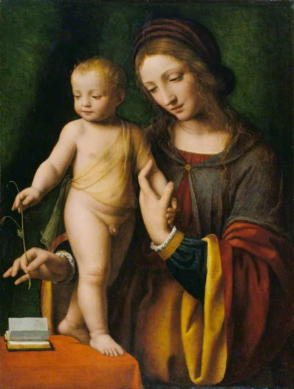 Madonna med barnet och en anemon - Bernardino Luini