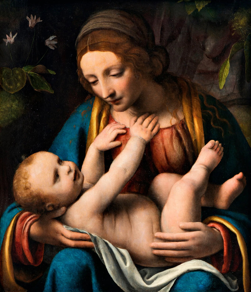 Madonna med barnet - Bernardino Luini