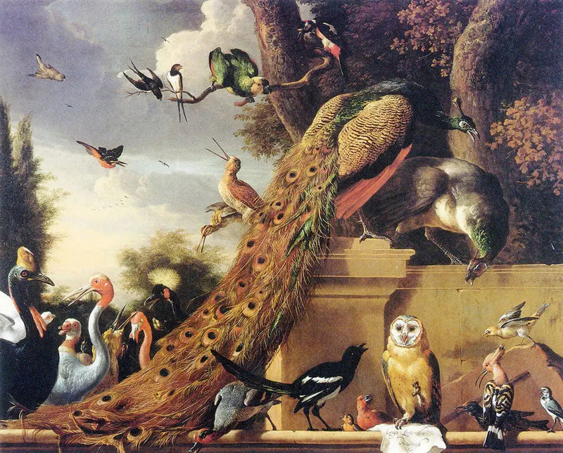 Langh har lämnat Den Koningh, eller fågelkonserten - Melchior de Hondecoeter