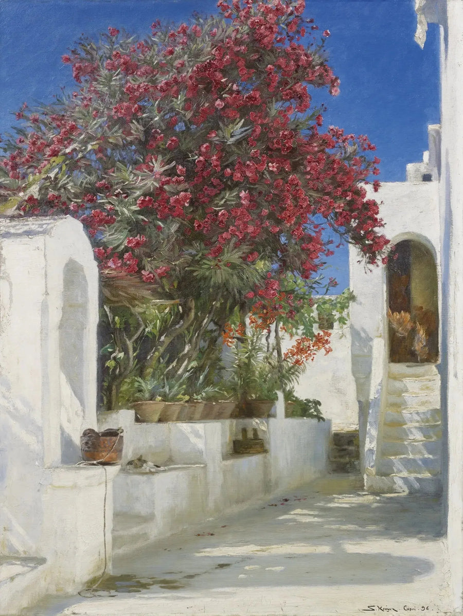 Rosbuskar i blom, Capri - Peder Severin Krøyer