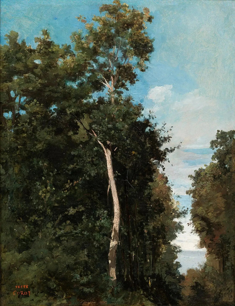 Trä på Côte de Grâce i Honfleur - Jean-Baptiste Camille Corot