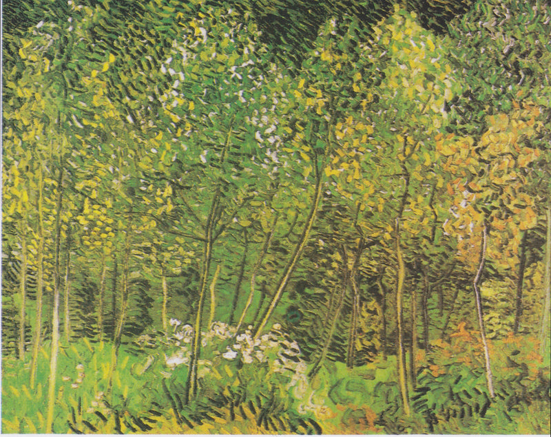 Bosquet - Vincent van Gogh