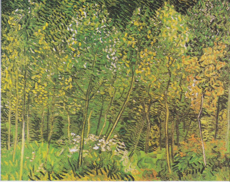 Bosquet - Vincent van Gogh