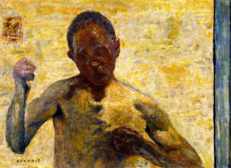 Boxaren - Pierre Bonnard