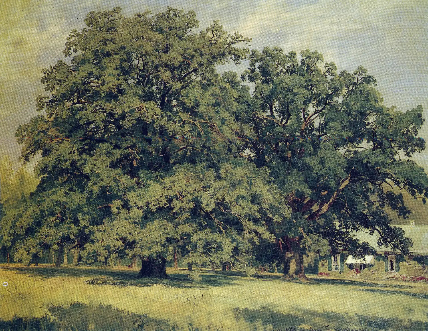 Le chêne de Mordvinovo - Ivan Chichkine - Alpha Reproduction