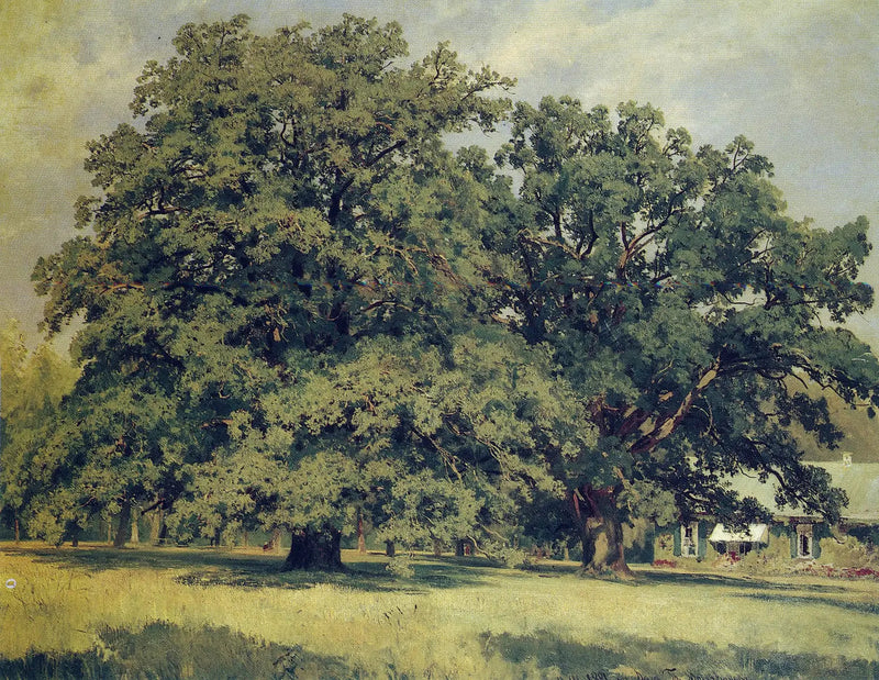Mordvinovo-eket - Ivan Chichkine