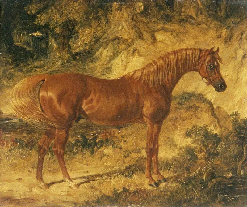 Löpningshästen « Actéon » - John Frederick Herring, Sr.