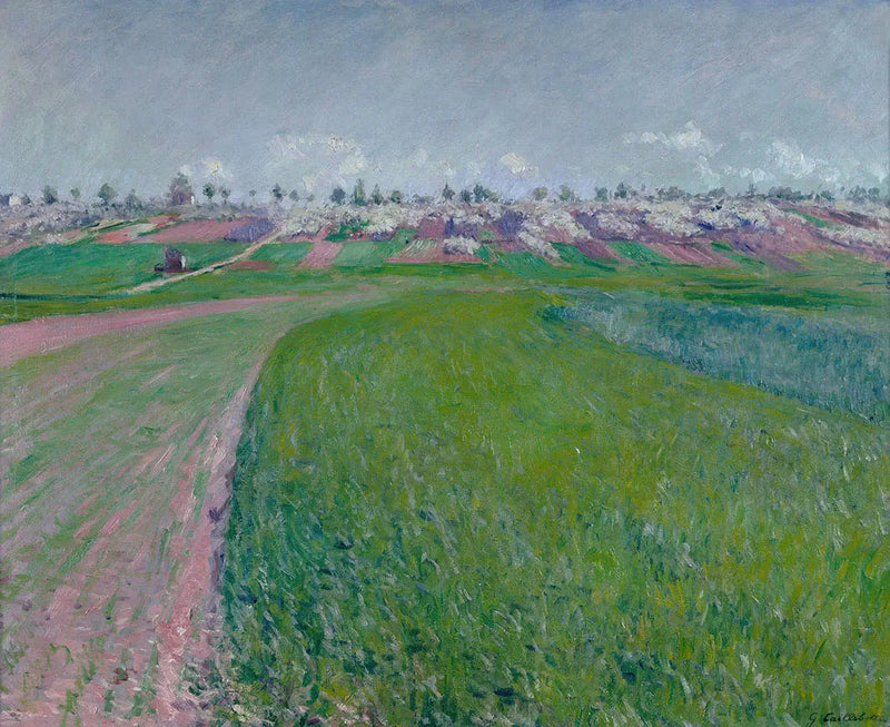 Colombes kullen - Gustave Caillebotte