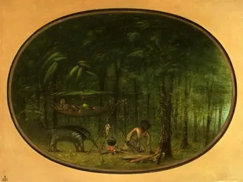 Den stora myrsloken - George Catlin