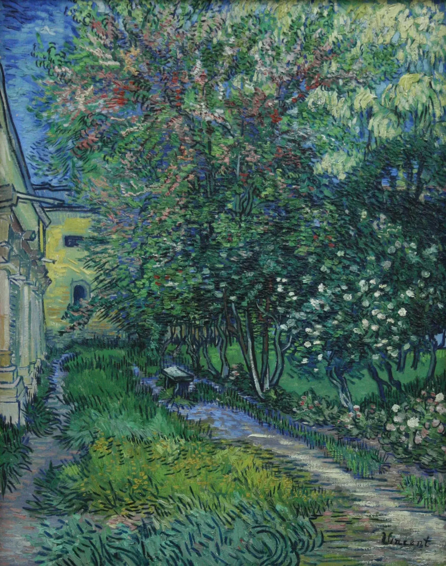 Trädgården vid asylet i Saint-Rémy - Vincent van Gogh