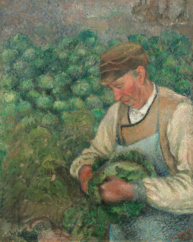 Trädgårdsmästaren - Gamle Bonde med Kål - Camille Pissarro