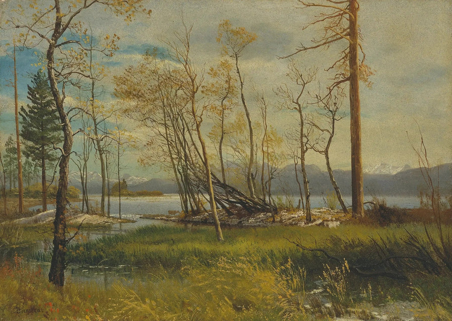 Tahoe-sjön - Albert Bierstadt