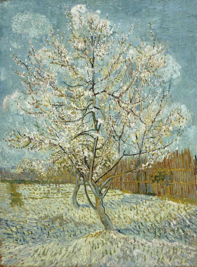 Den rosa persikotr d6det - Vincent van Gogh