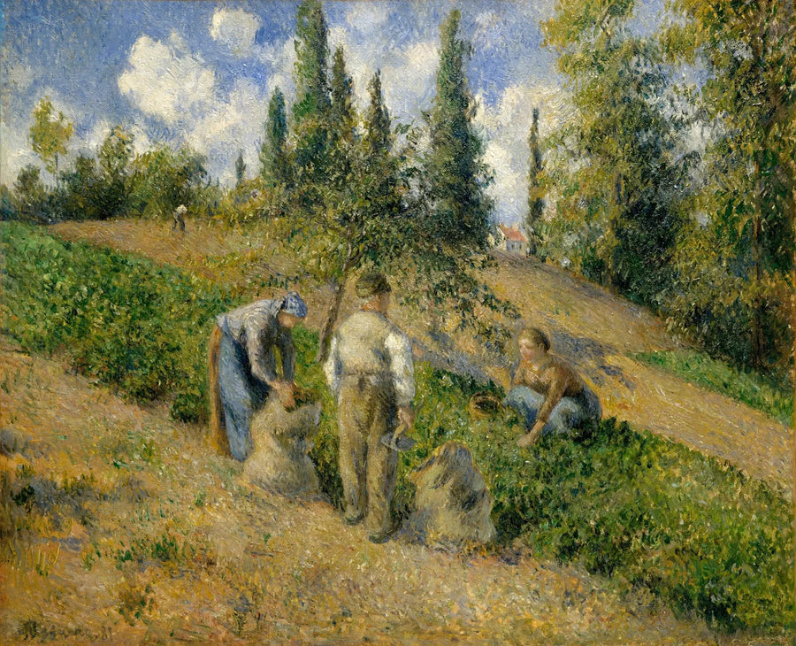 Skörden, Pontoise - Camille Pissarro