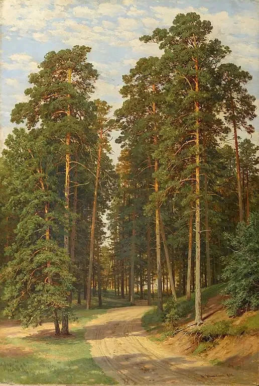 Solen i skogen - Ivan Chichkine