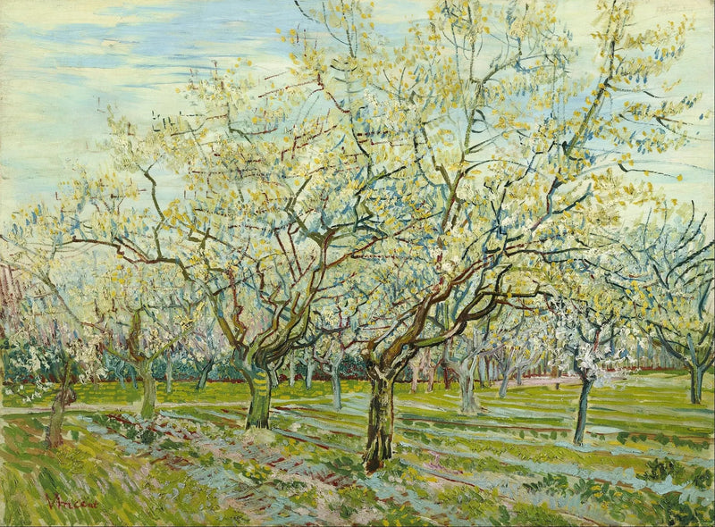 Den vita fruktträdgården - Vincent van Gogh