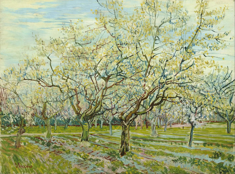 Den vita fruktträdgården - Vincent van Gogh