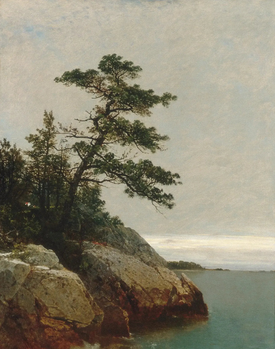 Den gamla tall, Darien, Connecticut - John Frederick Kensett