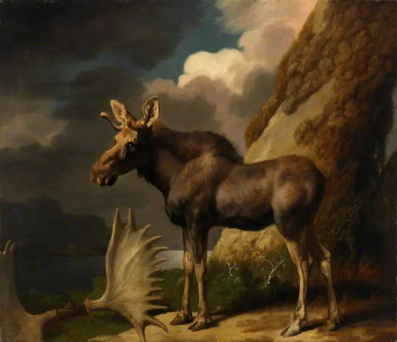 Elan - George Stubbs