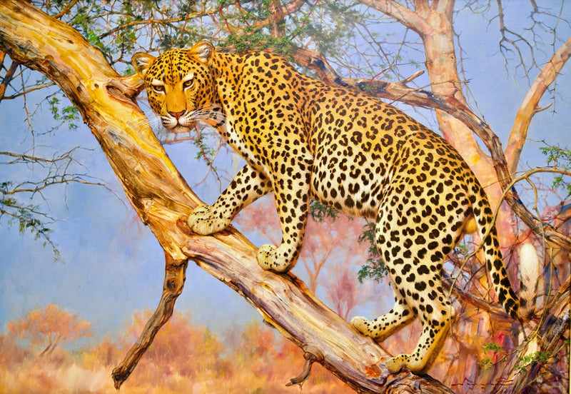 Leopard i ett träd | 150 x 100 cm