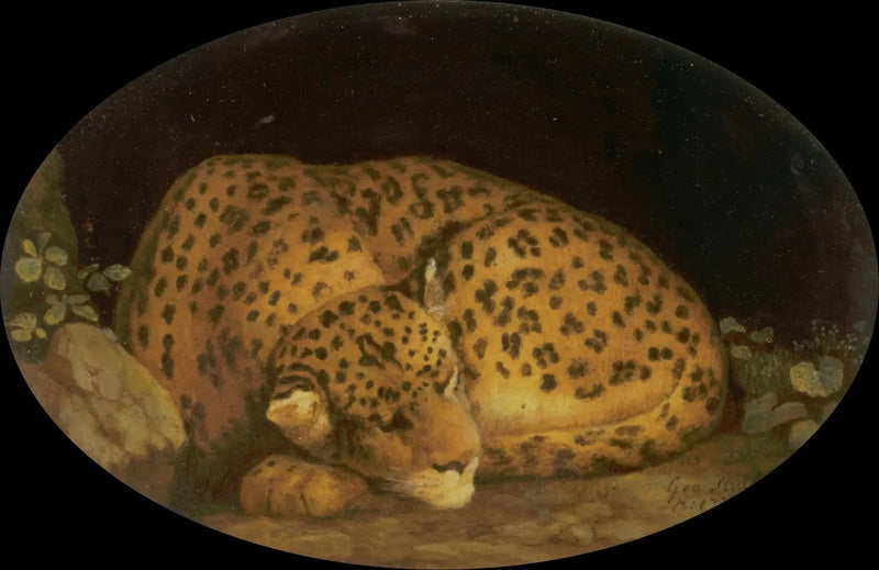Sovande leopard - George Stubbs
