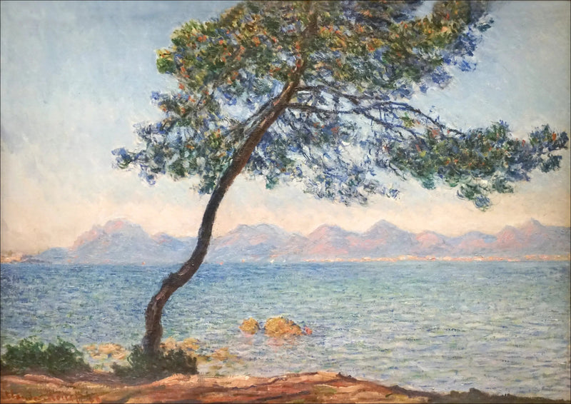 De antibakteriella - Claude Monet