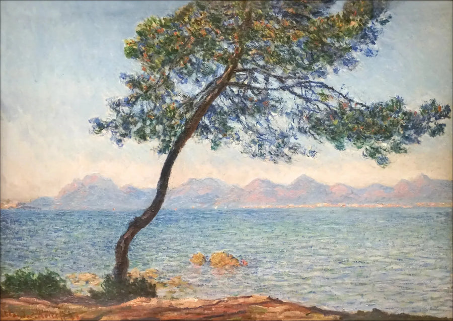 De antibakteriella - Claude Monet